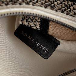 Dior Beige/Brown Medium Jardin d'Hiver Lady D-Lite Bag