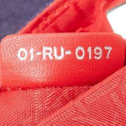 Dior Blue/Red Cannage Denim Small Stardust Backpack