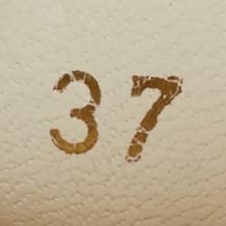 مملوكة مسبقًا Dior White Canvas Walk'n'Dior Low Top Sneakers Size 37