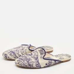 Dior Blue/Beige Embroidered Canvas Toile De Jouy Flat Mules Size 39.5