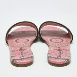 Pre Owned Dior Multicolor Embroidered Canvas Dway Flat Slides Size 39
