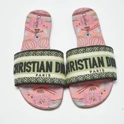 Pre Owned Dior Multicolor Embroidered Canvas Dway Flat Slides Size 39