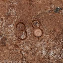 Pre Owned Dior Multicolor Embroidered Canvas Floral Dway Flat Slides Size 38