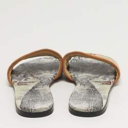 مملوكة مسبقًا Dior Dway Size 39 Multicolor Canvas Embroidered Flat Slide