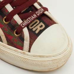 Pre Owned حذاء رياضي ديور والكن ديور برقبة منخفضة قماش مطرز متعدد الألوان مقاس 38