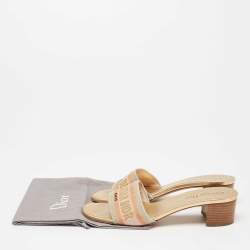 Pre Owned Dior Navy Multicolor Embroidered Canvas D-way Slide Sandals Size 40