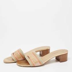 Pre Owned Dior Navy Multicolor Embroidered Canvas D-way Slide Sandals Size 40