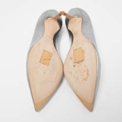 Pre Owned Dior Silver Leather Pointed Toe Pumps Size 37