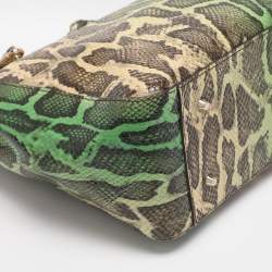 Pre Owned DKNY Green/Beige Python Embossed Leather Chain Tote