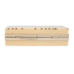 Pre Owned DKNY Beige Glitter Perspex Clutch