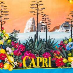 Pre Owned وشاح دولتشي & غابانا حرير  بنقشة كابري متعدد الألوان مربع 