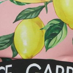 Pre Owned Dolce & Gabbana Exclusive Pink Limoni Fdo Rosa Print Sports Bra M