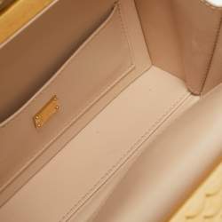 Dolce & Gabbana Gold/White Acrylic and Snakeskin Castle Dolce Box Top Handle Bag
