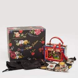 Dolce & Gabbana Multicolor Wood and Lizard Embossed Leather Teatro Lei Pupi Dolce Dolce Box Bag