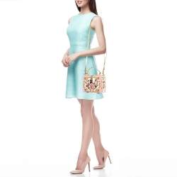 Dolce & Gabbana Pink/Gold Roses Baroque Acrylic Dolce Box Top Handle Bag