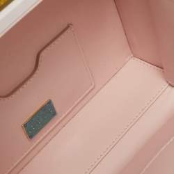 Dolce & Gabbana Pink/Gold Roses Baroque Acrylic Dolce Box Top Handle Bag