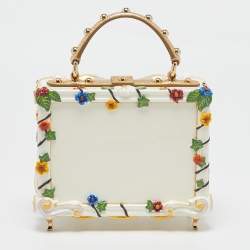Pre Owned Dolce & Gabbana Gold Acrylic and Leather Fruit basket Dolce Box Top Handle Bag