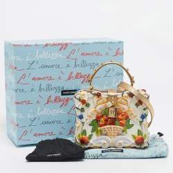 Pre Owned Dolce & Gabbana Gold Acrylic and Leather Fruit basket Dolce Box Top Handle Bag