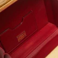 Dolce & Gabbana Gold/Red Rose Painted Wood Dolce Box Top Handle Bag