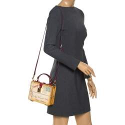 مملوكة مسبقًا Dolce & Gabbana Multicolor Snakeskin and Plastic Inlaid Wood Top Handle Box Bag