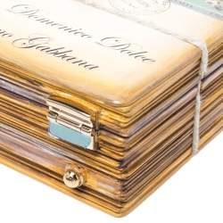 مملوكة مسبقًا Dolce & Gabbana Multicolor Snakeskin and Plastic Inlaid Wood Top Handle Box Bag