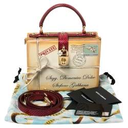 Pre Owned Dolce & Gabbana Beige/Maroon Wood and Python Postage Box Dolce Box Bag