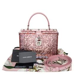 Pre Owned Dolce & Gabbana Pink Plexiglass Cinderella Top Handle Bag