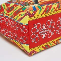 Pre Owned حقيبة يد توتس  دولتشي آند غابانا كابري جلد نقشة السحلية وكانفاس مطبوع متعدد الألوان صغيرة