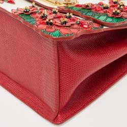 Pre Owned Dolce & Gabbana Multicolor Lizard Embossed and Leather Embellished Welcome Top Handle Bag