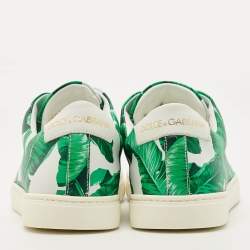 Pre Owned Dolce & Gabbana Green/White Leather Banana Leaf Print Low Top Sneakers Size 39