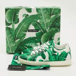 Pre Owned Dolce & Gabbana Green/White Leather Banana Leaf Print Low Top Sneakers Size 39
