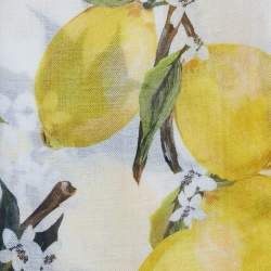 Pre Owned Dolce & Gabbana Yellow Lemon Print Silk Scarf