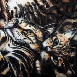 مملوكة مسبقًا Dolce & Gabbana Cashmere Brown muffler and shawl