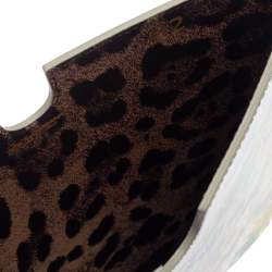 Pre Owned Dolce & Gabbana Multicolor Majolica Print Patent Leather P2 Tablet Case