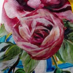 Pre Owned Dolce & Gabbana Multicolor Sicily Majolica Rose Cashmere Blend Wrap Scarf