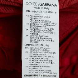 Pre Owned Dolce & Gabbana Red Dotted Tulle Feather Detail Midi Dress S
