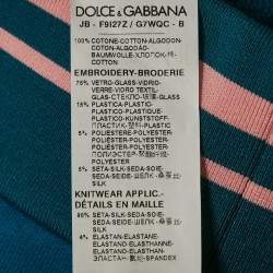 Dolce & Gabbana Blue/Pink Embroidered Cotton Sweatshirt S