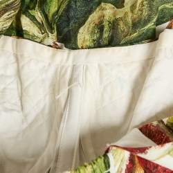 Pre Owned Dolce & Gabbana Green Fig Print Cotton Midi Dress M