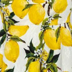 Pre Owned Dolce & Gabbana White Lemon Printed Jacquard Peplum Cropped Top L