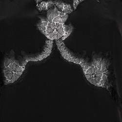 Pre Owned Dolce & Gabbana Black Silk & Cotton Lace Inset Detailed Sleeveless Top M