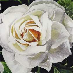 Pre Owned Dolce & Gabbana Monochrome Floral Print Silk Blouse S