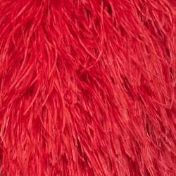 Pre Owned Dolce & Gabbana Red Ostrich Feather Cropped Bolero Jacket XS