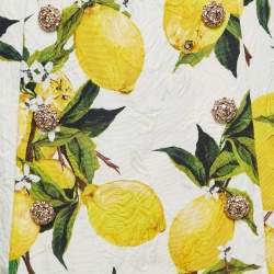 Pre Owned Dolce & Gabbana Off-White Lemon Patterned Jacquard Mini Skirt XS