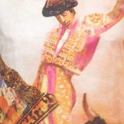 Pre Owned Dolce & Gabbana Multicolor Bull Rider Printed Cotton & Linen T-Shirt XS
