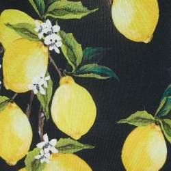 Pre Owned Dolce & Gabbana Black Lemon Printed Cashmere & Silk Knit Camisole S
