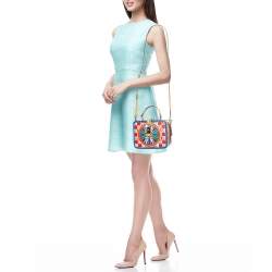 Pre Owned Dolce & Gabbana Multicolor Leather Teatro dei Pupi Dolce Box Top Handle Bag