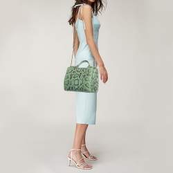 Pre Owned Dolce & Gabbana Green Python Miss Sicily Shopper Tote
