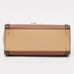 Pre Owned حقيبة دولتشي أند غابانا يد علوية ميس مونيكا صغيرة جلد نقش سحلية بنية شوكو