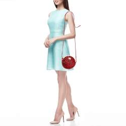 Dolce & Gabbana Red/Pink Leopard Calfhair and Leather Round Crossbody Bag