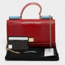 Pre Owned Dolce & Gabbana Multicolor Lizard Embossed Leather Miss Sicily Von Wallet on Chain